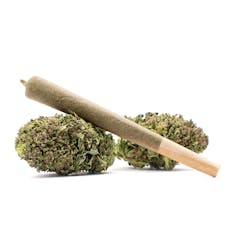 Chocolate OG | 1g preroll