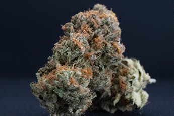 Bud Hub Pineapple Express Buds