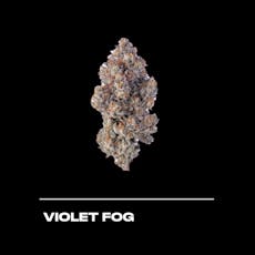 Violet Fog 3.5g-I