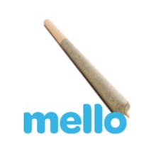 Glitter Bomb | Preroll | 1g