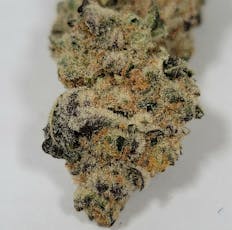 Butterstuff | Simply Herb | Bud | 7g