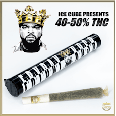 Cavi Cone 1.3G | Fryday Kush