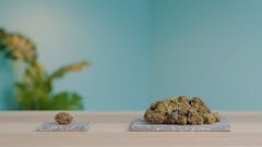 MUNCHIE MONDAY 10% OFF EDIBLES