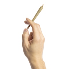 SunMed Growers Cannabis Pre-rolls Sunshine #4 Pre-Rolls 1g 2-pack
