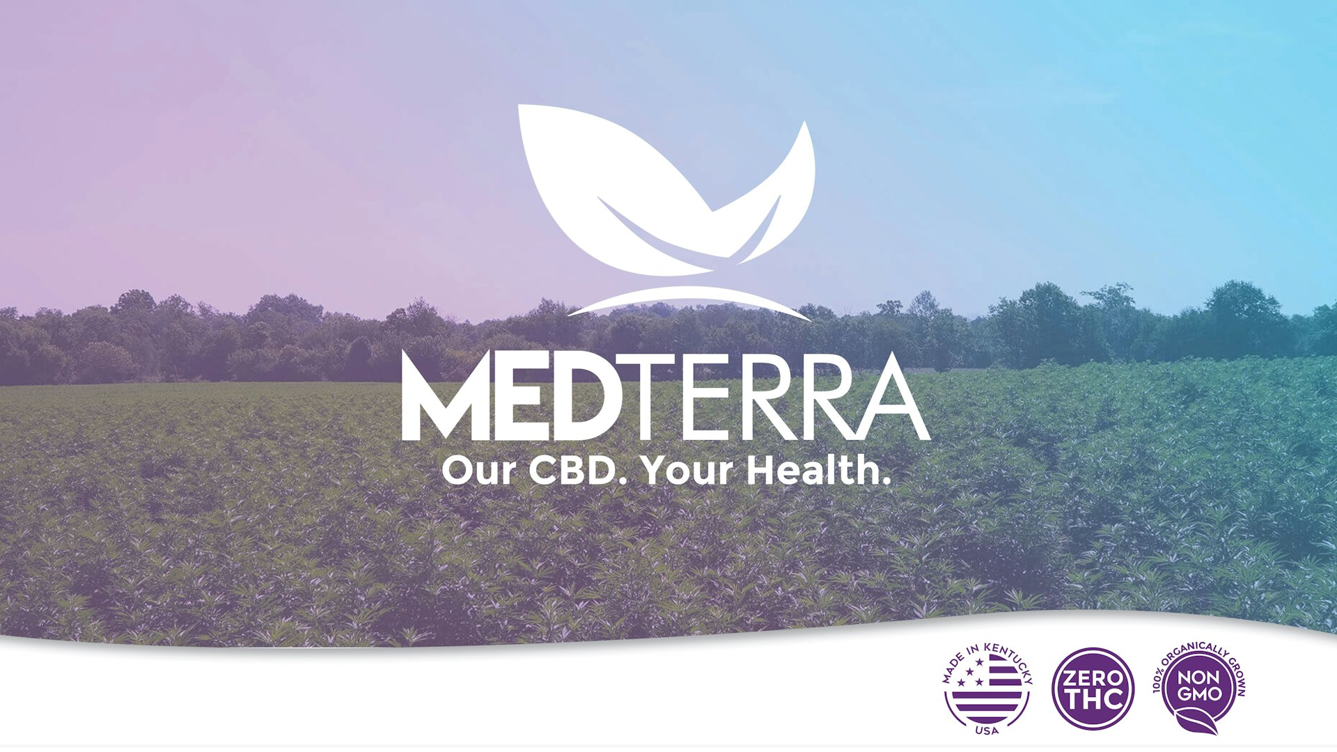 Medterra Cover Photo
