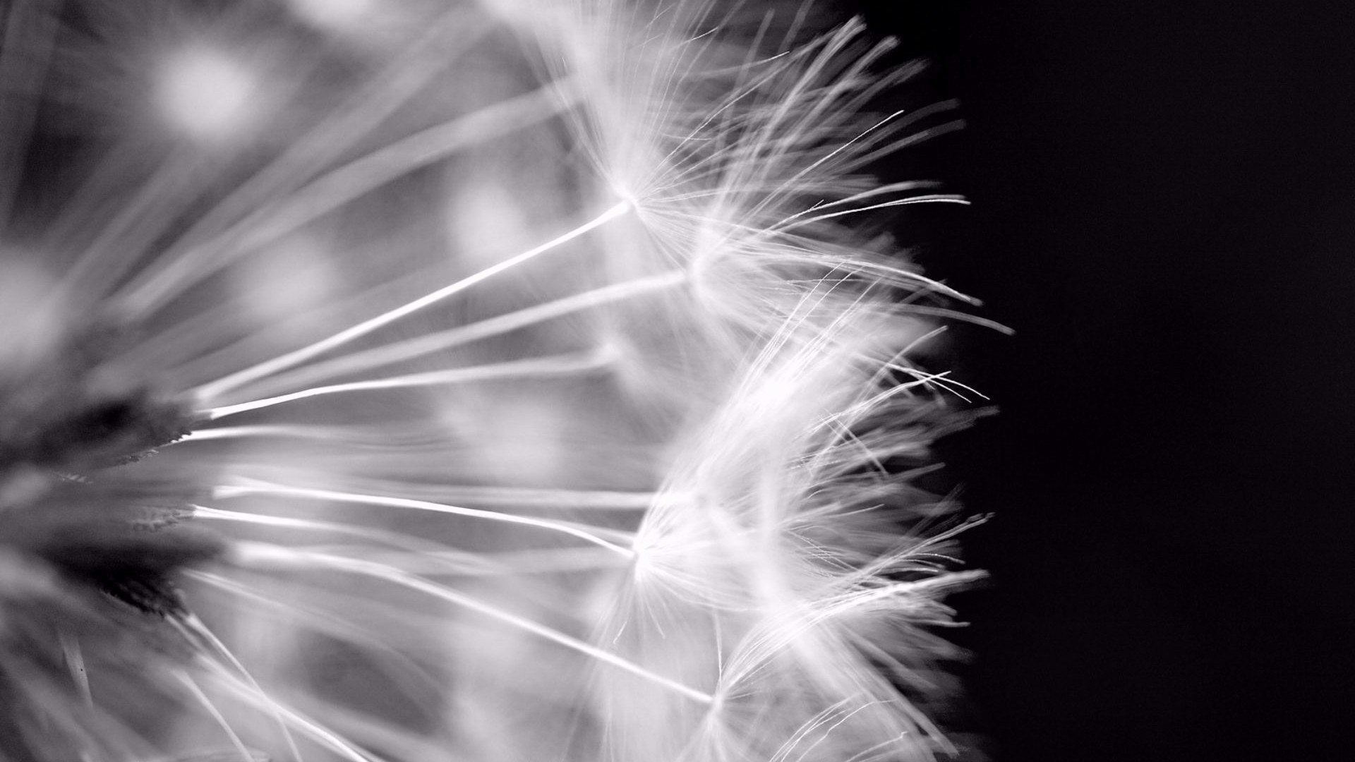KC Business Solutions Cover Photo