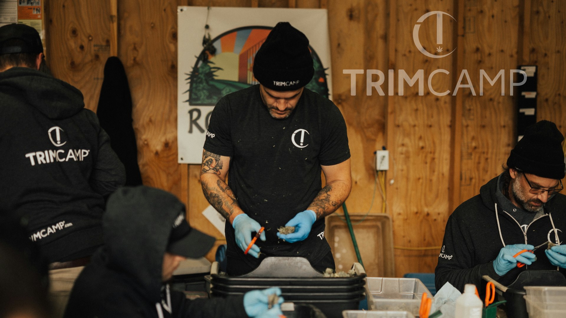 TRIMCAMP® Cover Photo