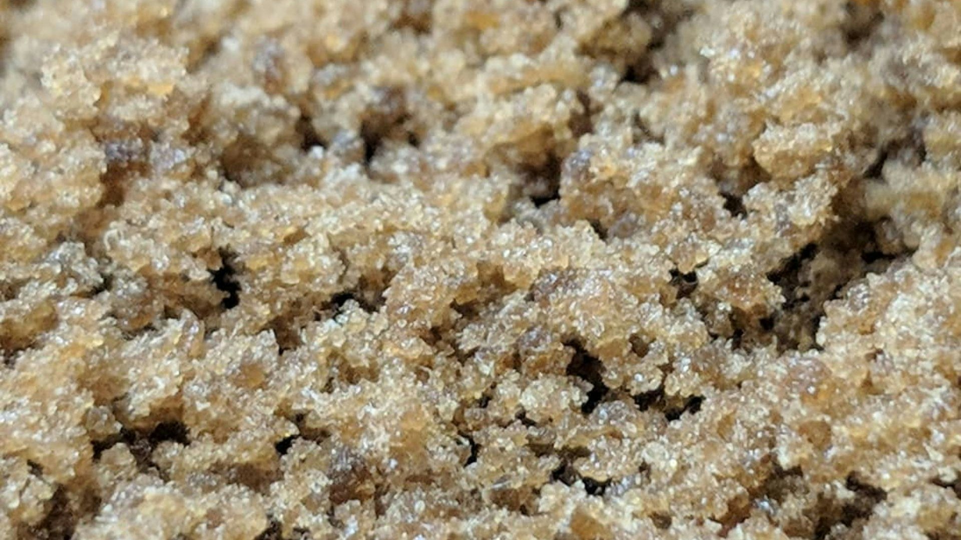 Axiom Hash Cover Photo