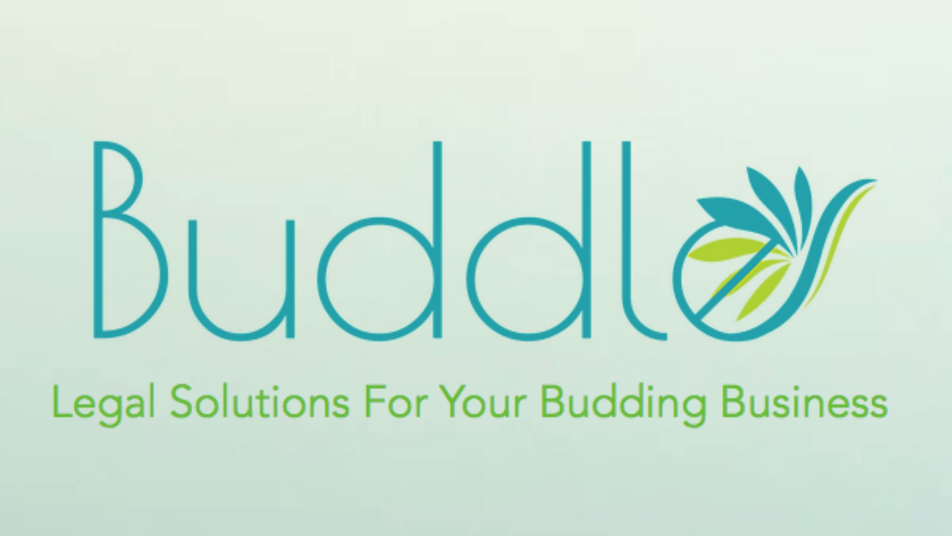 Buddle Law Cover Photo