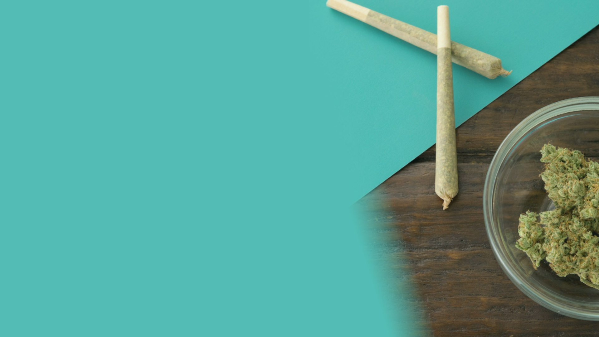 Avitas Cover Photo