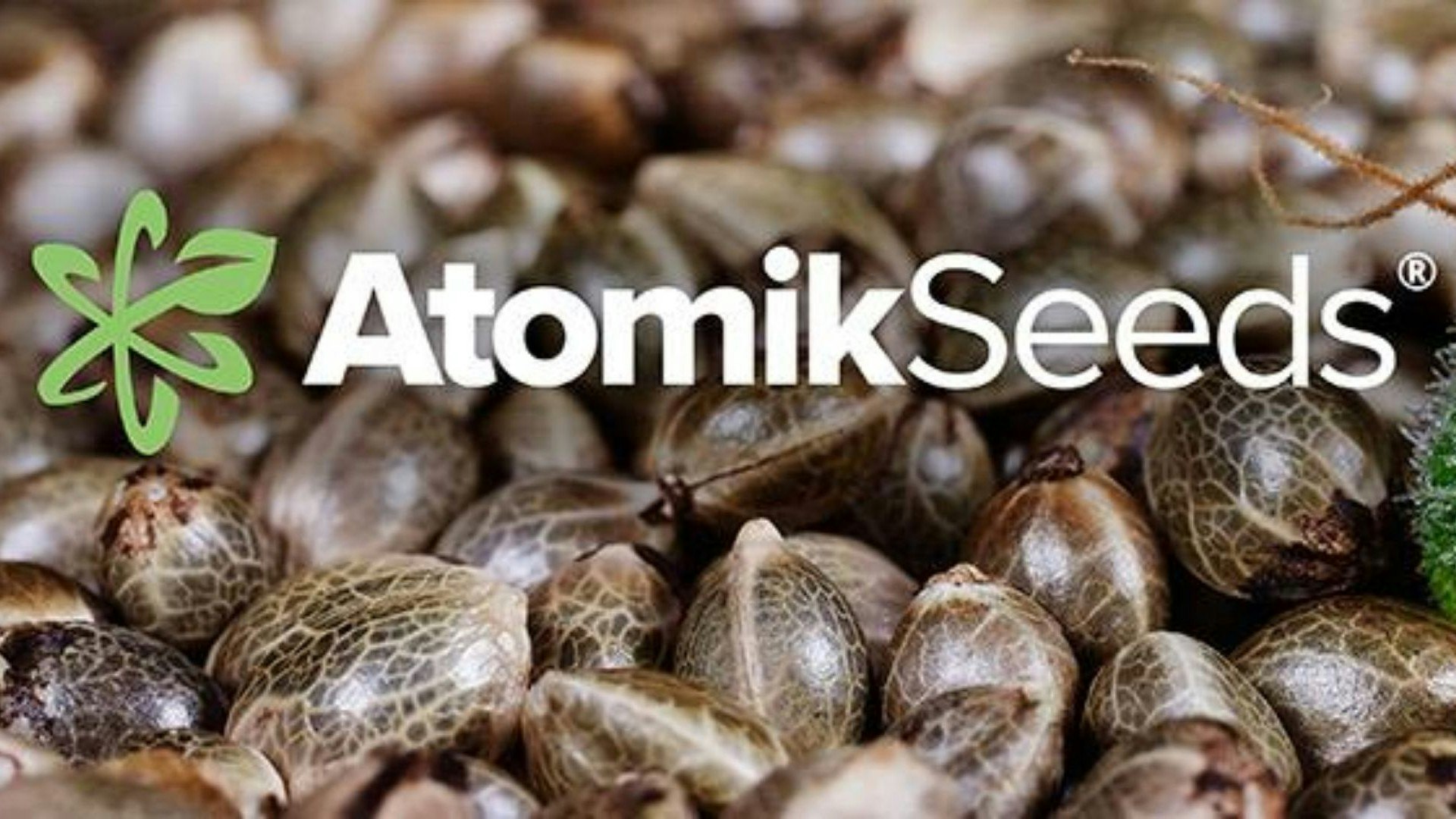 Atomik Seeds Cover Photo