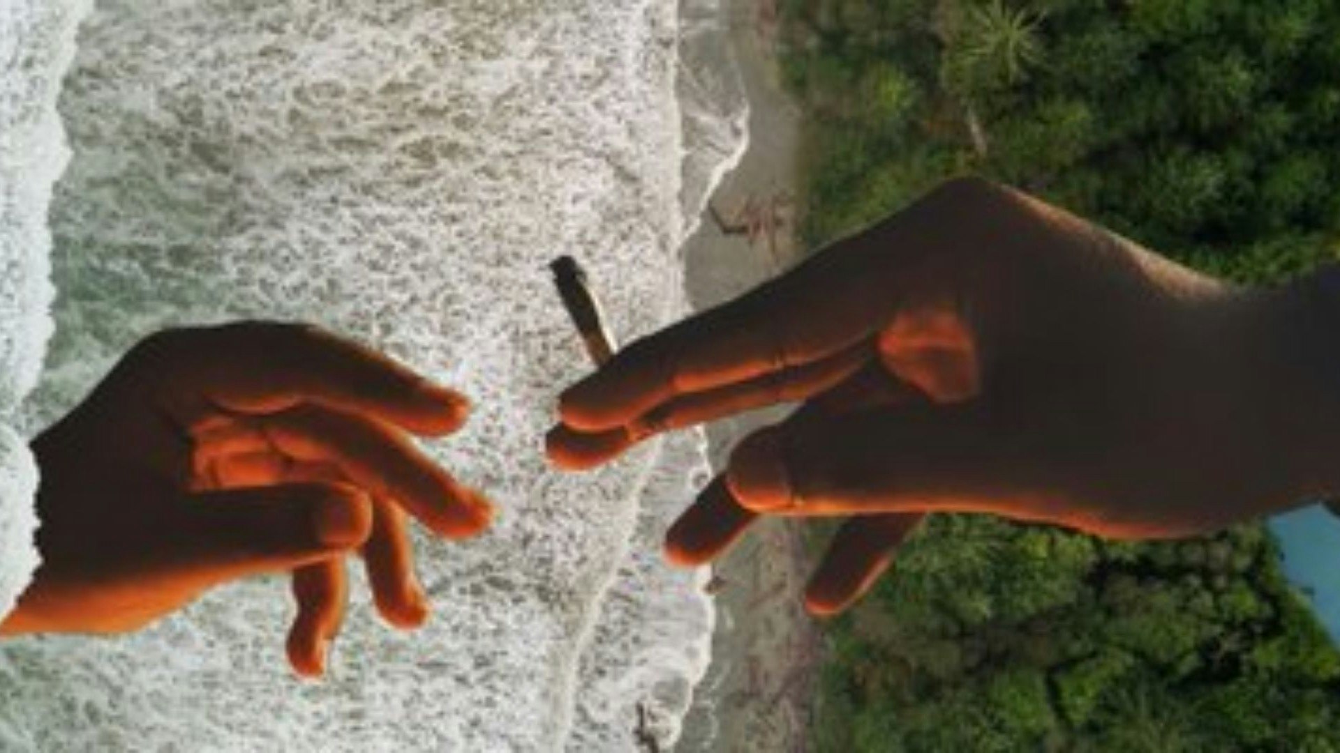 Wildlife Cannabis Co. Cover Photo