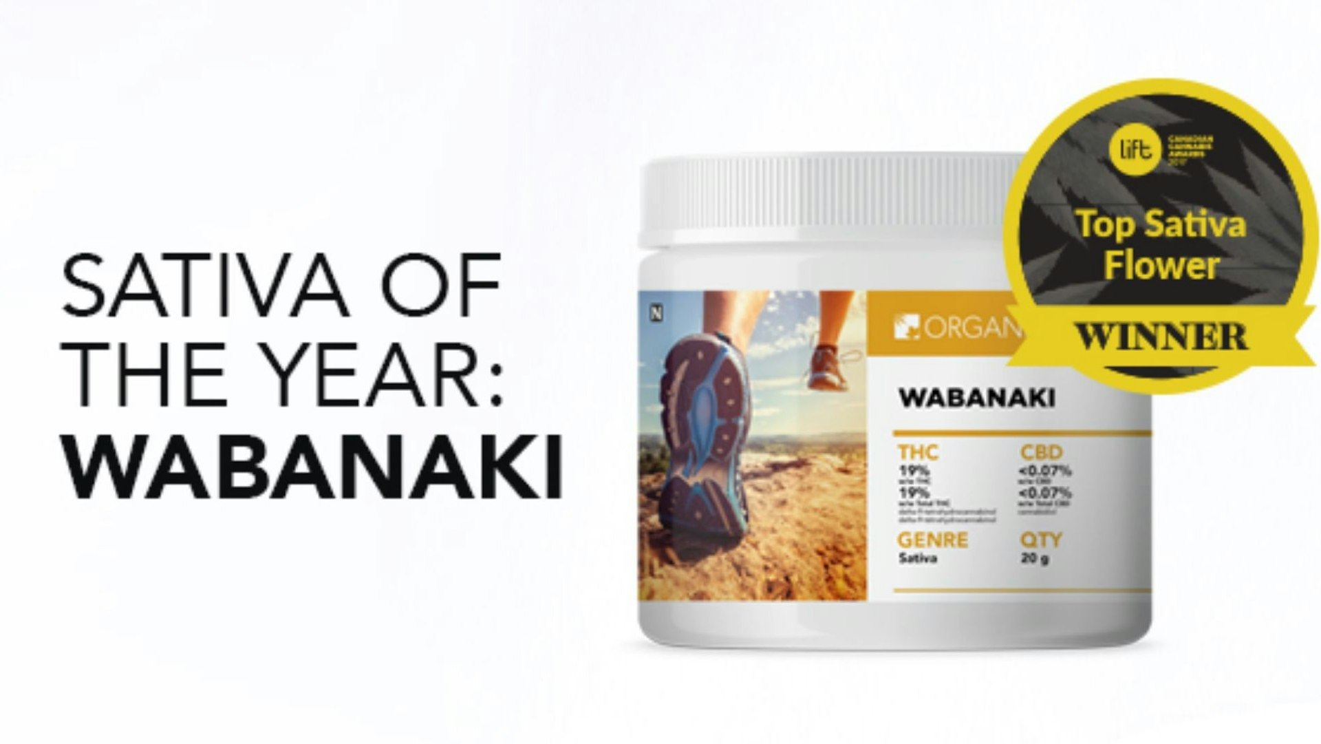 Organigram Cover Photo