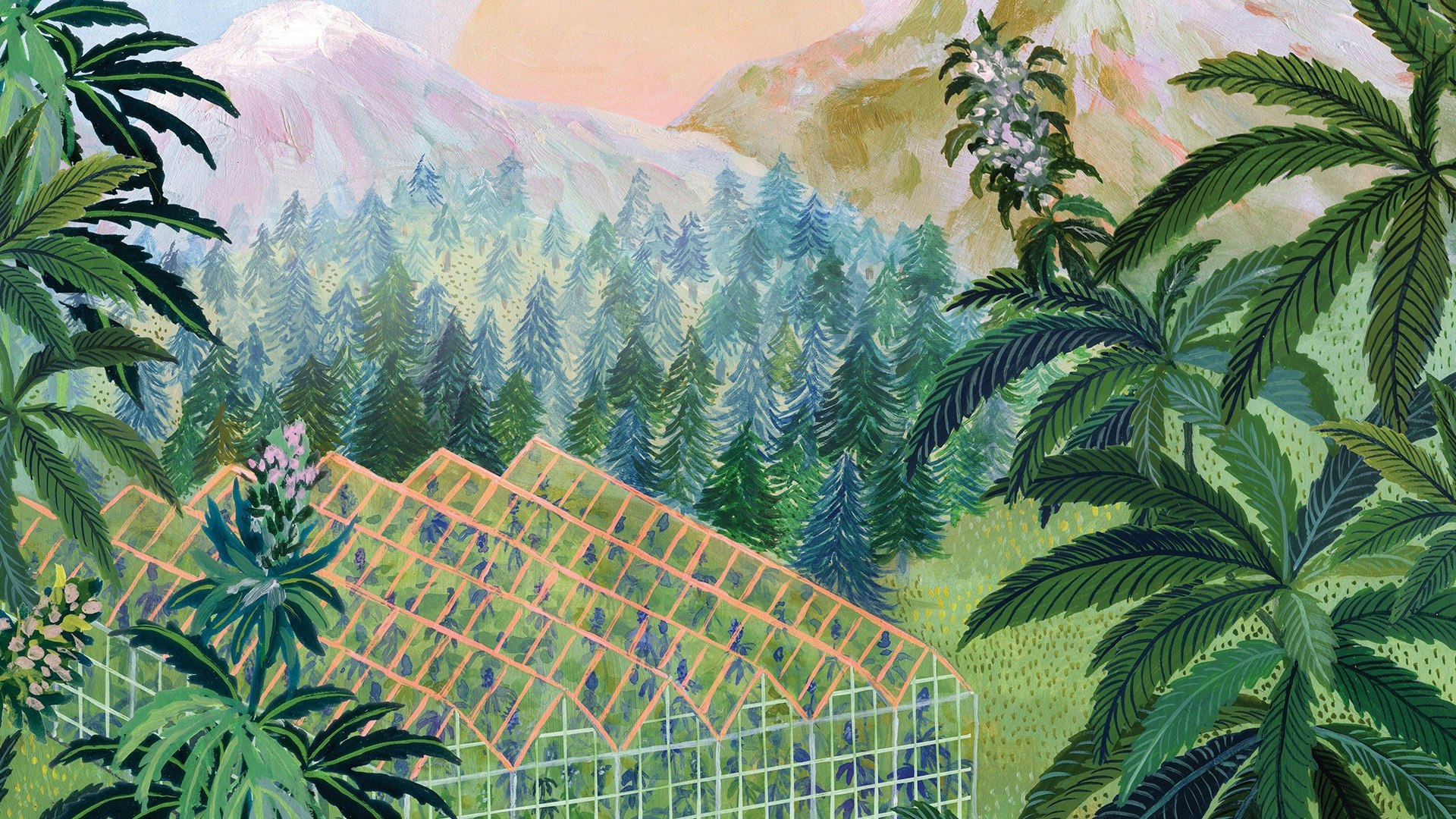 Pure Sunfarms Cover Photo