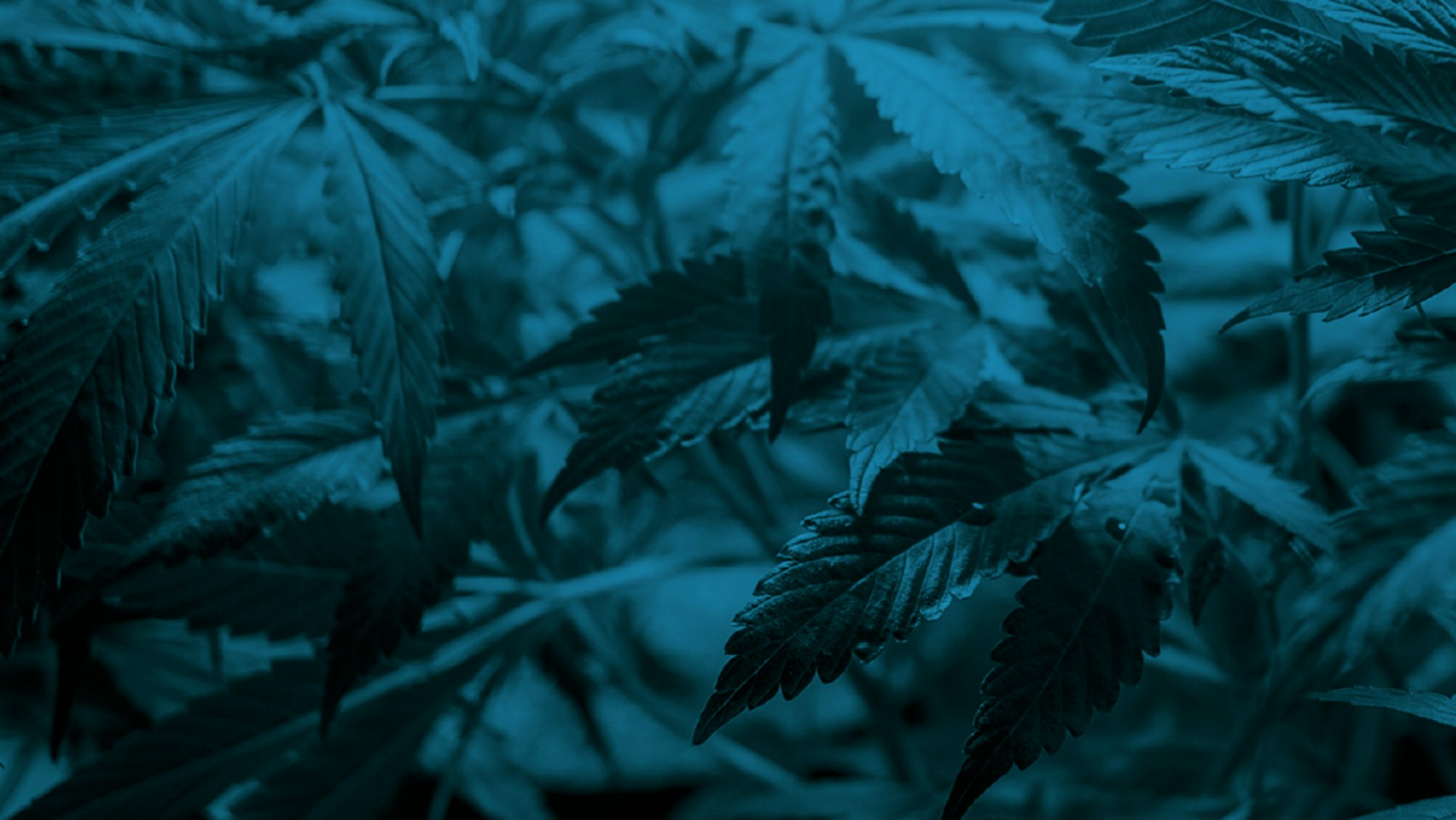 Cresco by Cresco Labs Cover Photo