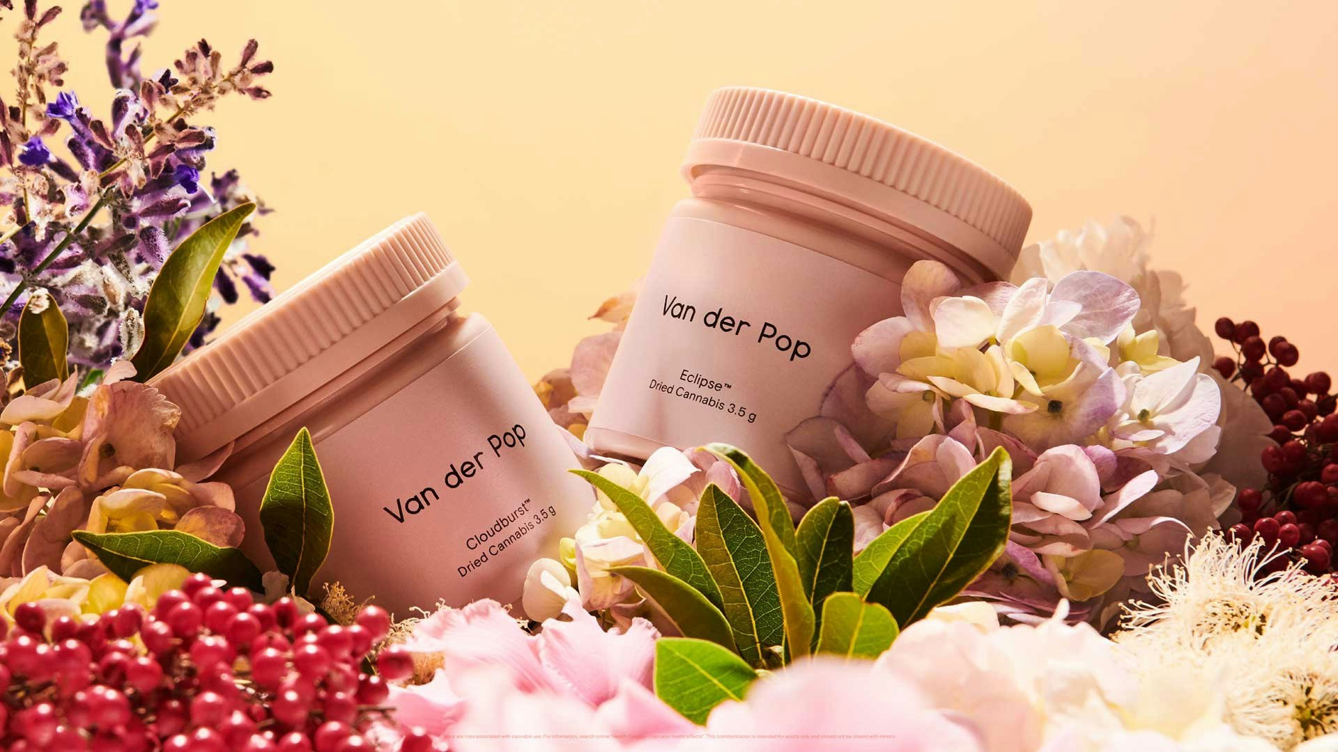 Van der Pop Cover Photo