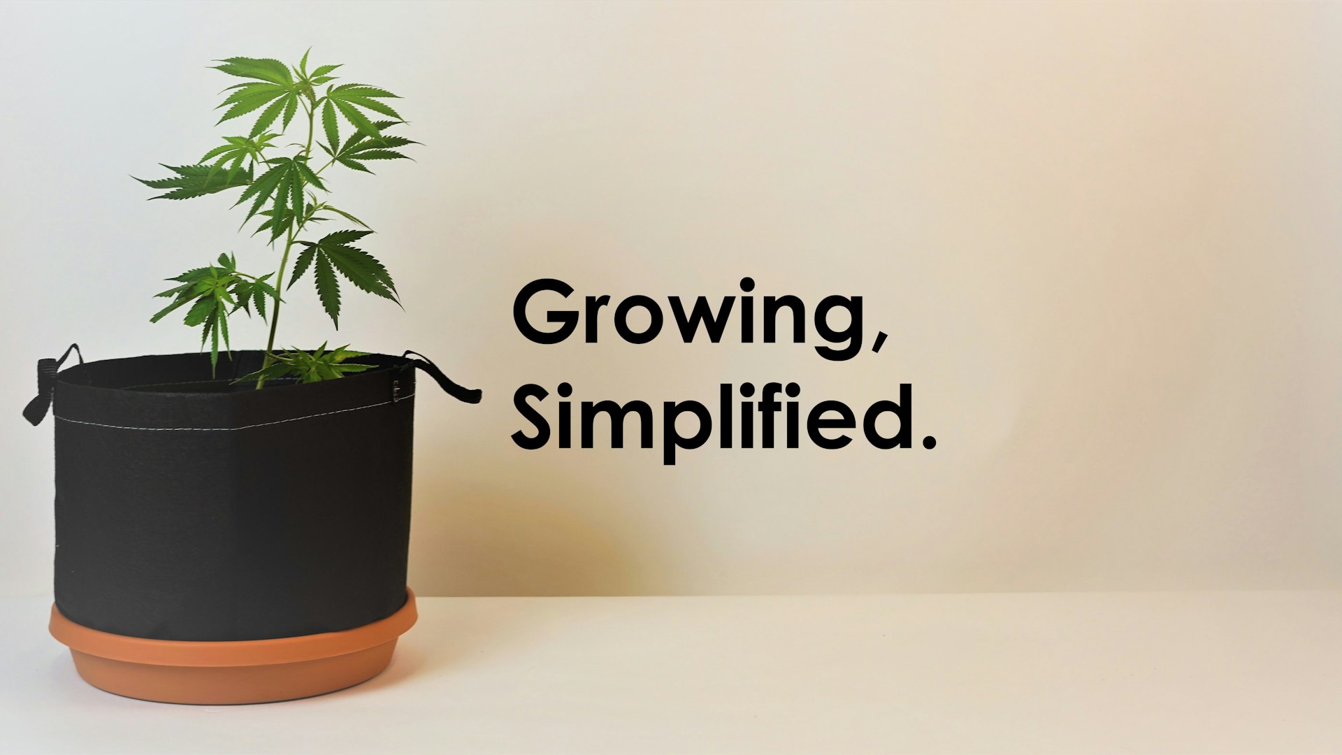 a Pot for Pot Cover Photo