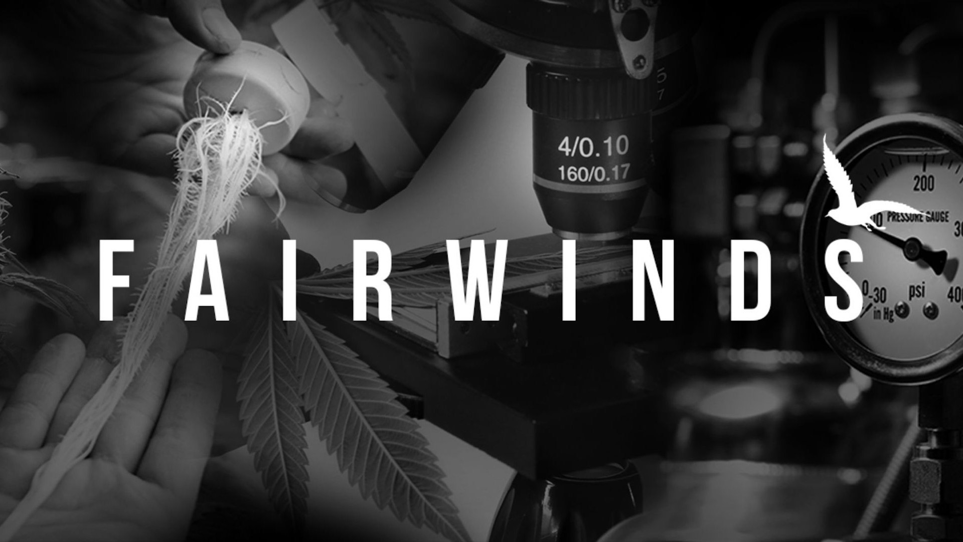 Fairwinds Cover Photo