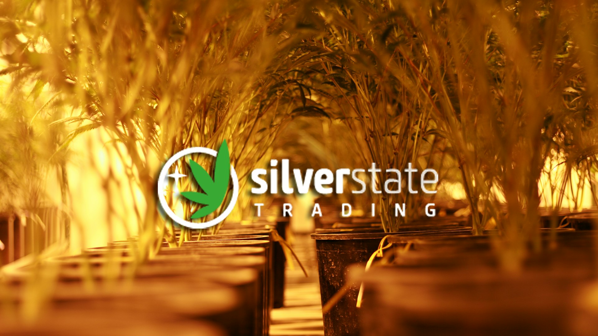 Silver State Trading Cover Photo