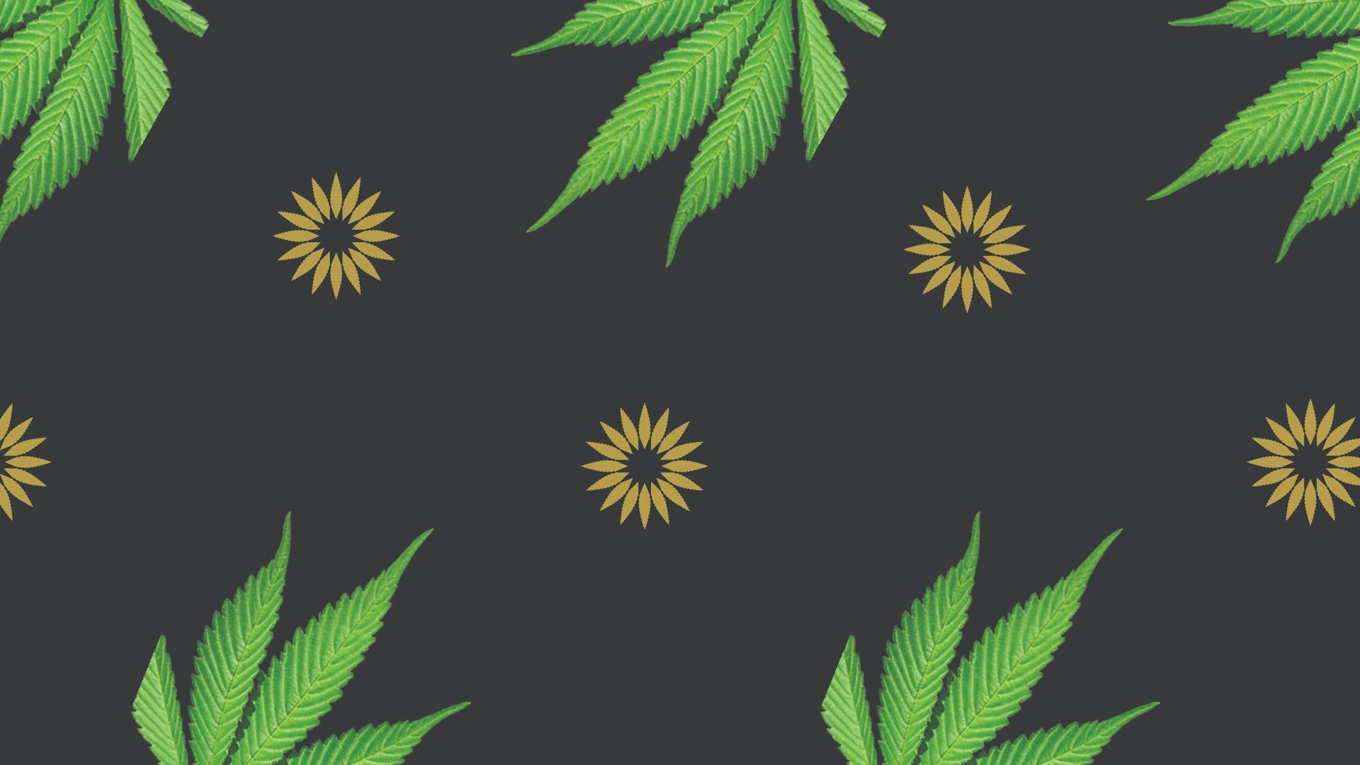 CannaSol Farms Cover Photo