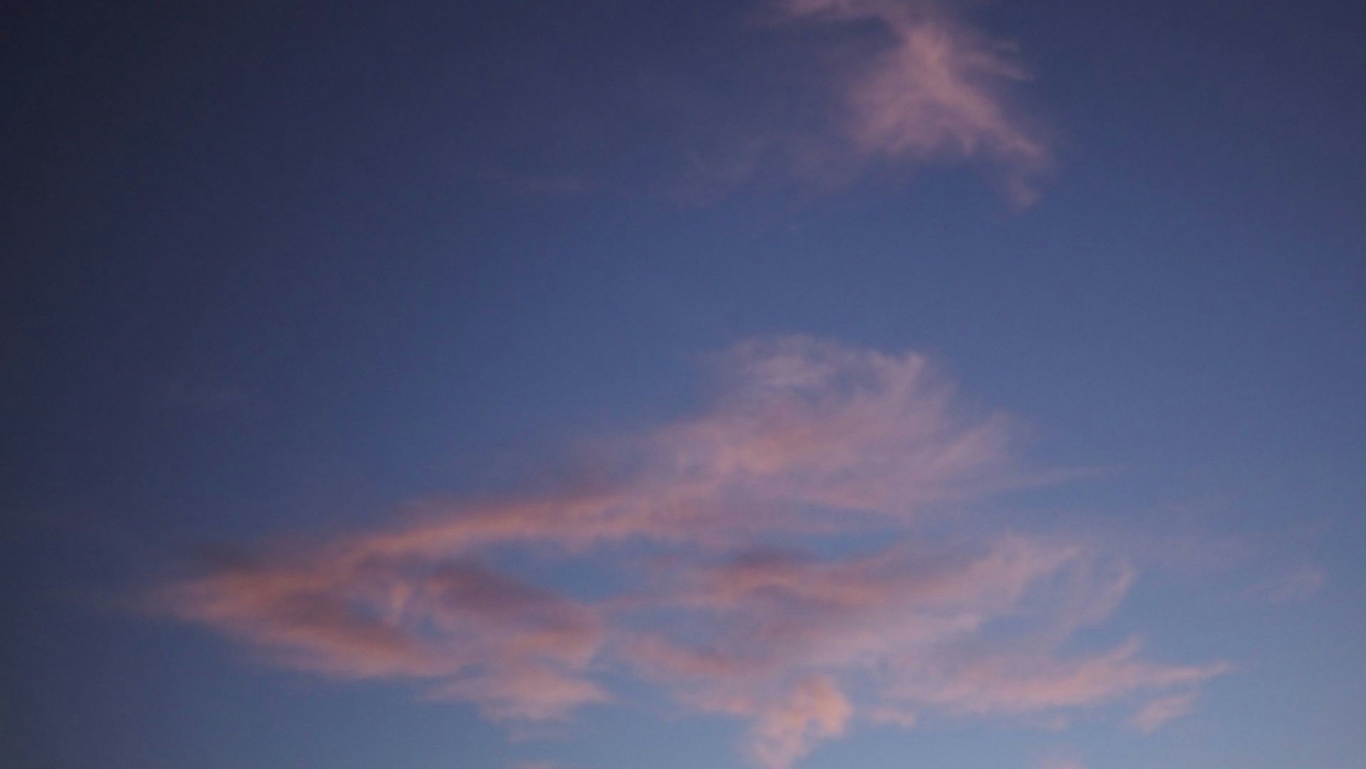 Lune Wellness Cover Photo