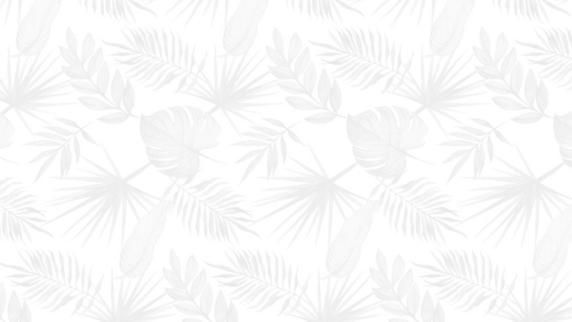 Allo Cover Photo