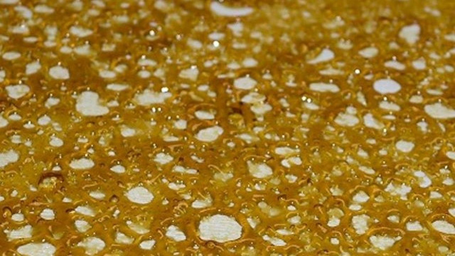 Kush Concentrates Cover Photo