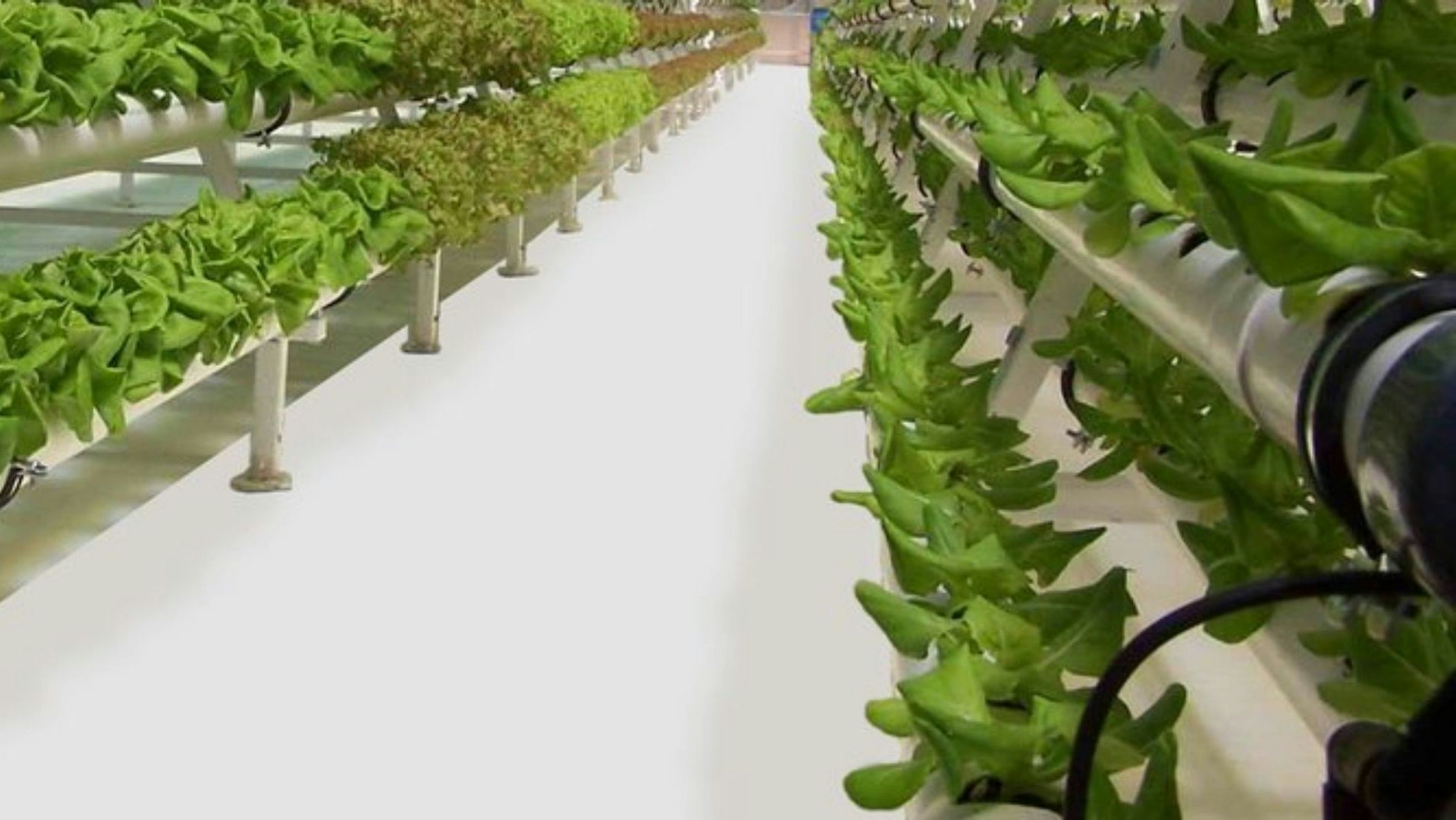 GrowFloor® Cover Photo