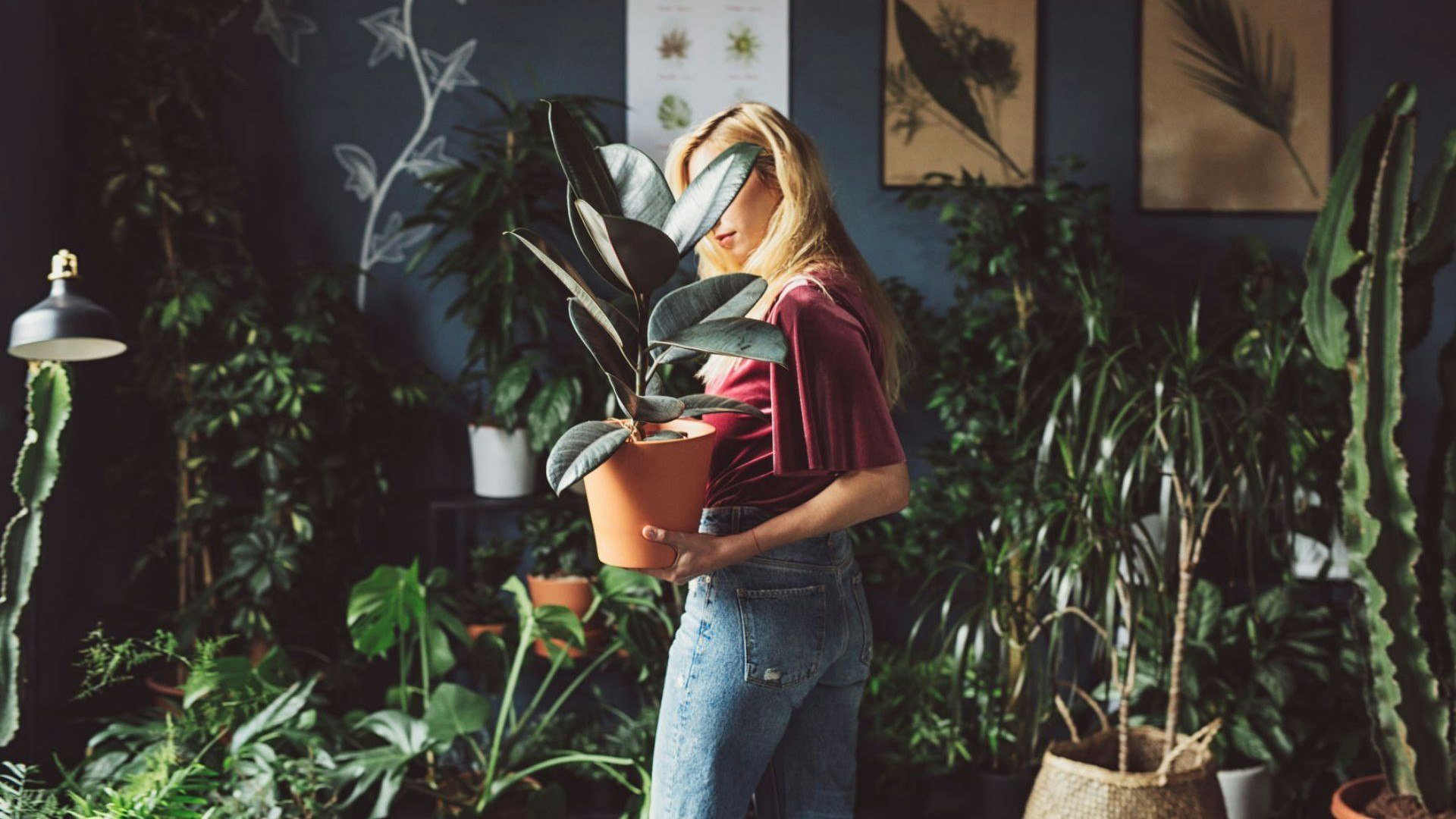 Blissco Cover Photo