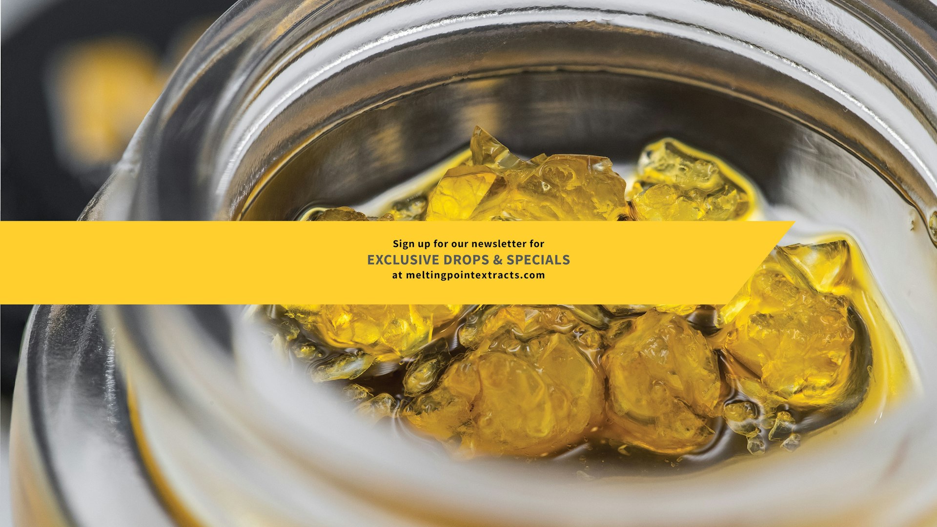 MPX Melting Point Extracts Cover Photo