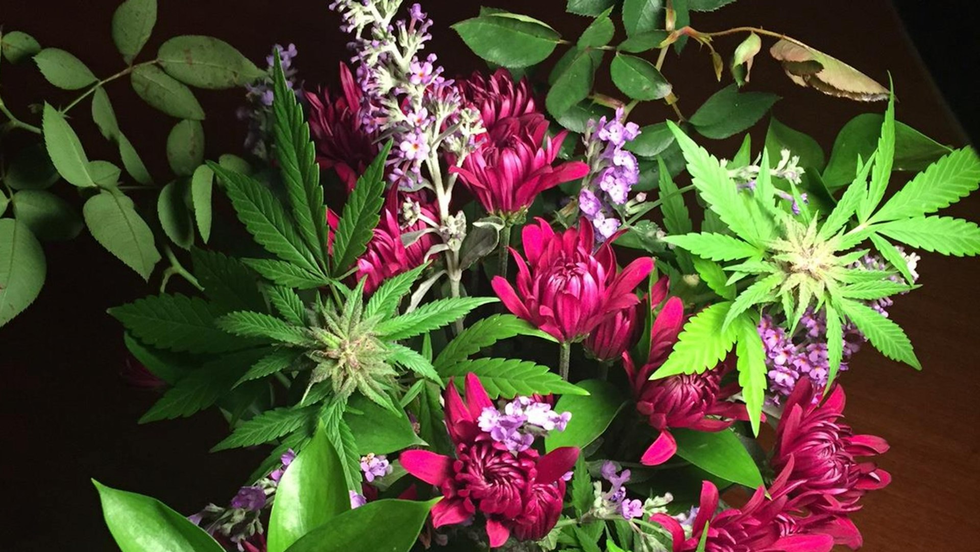 Zoots by Ionic Cover Photo