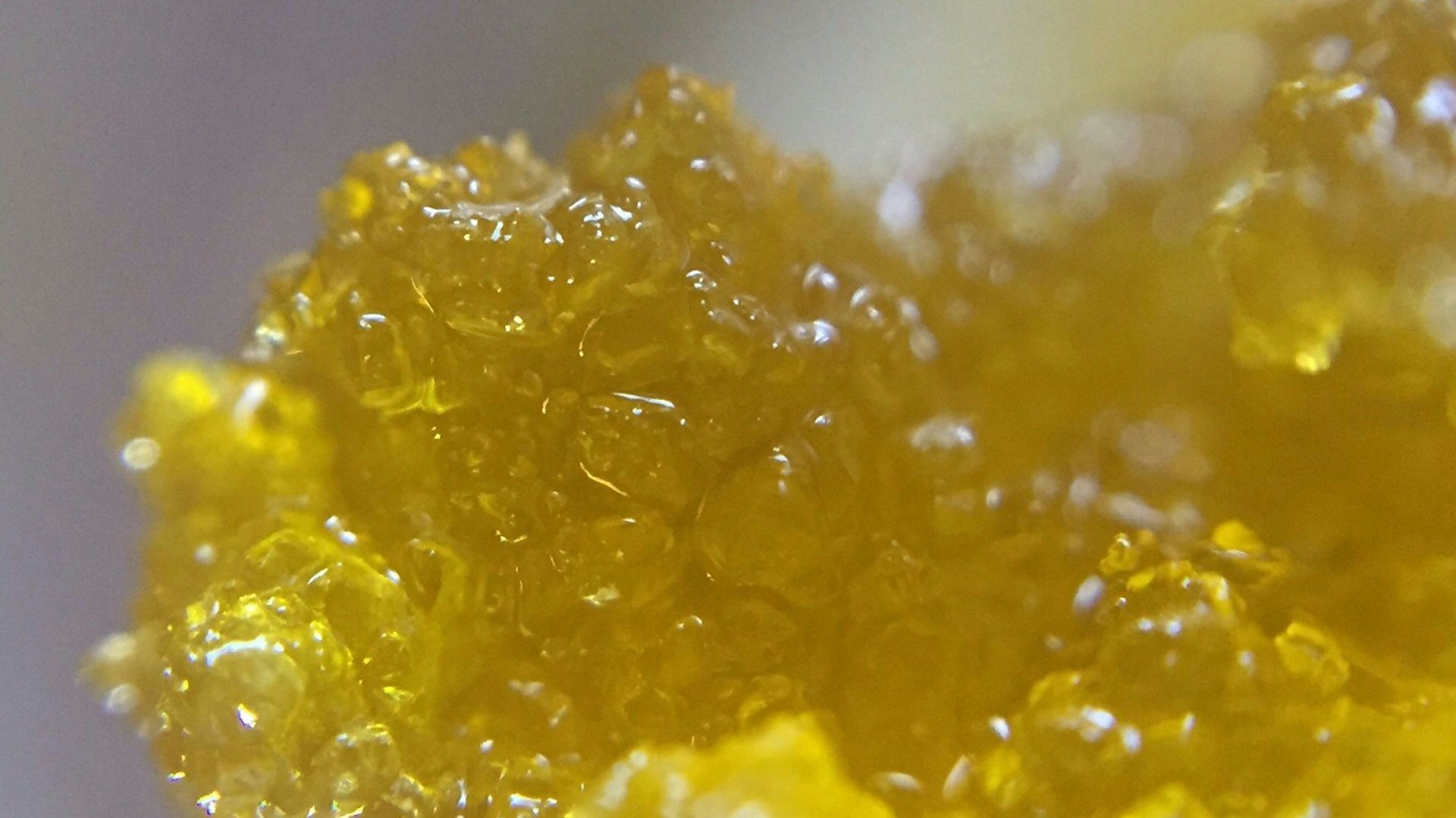 BOSM Labs Cover Photo