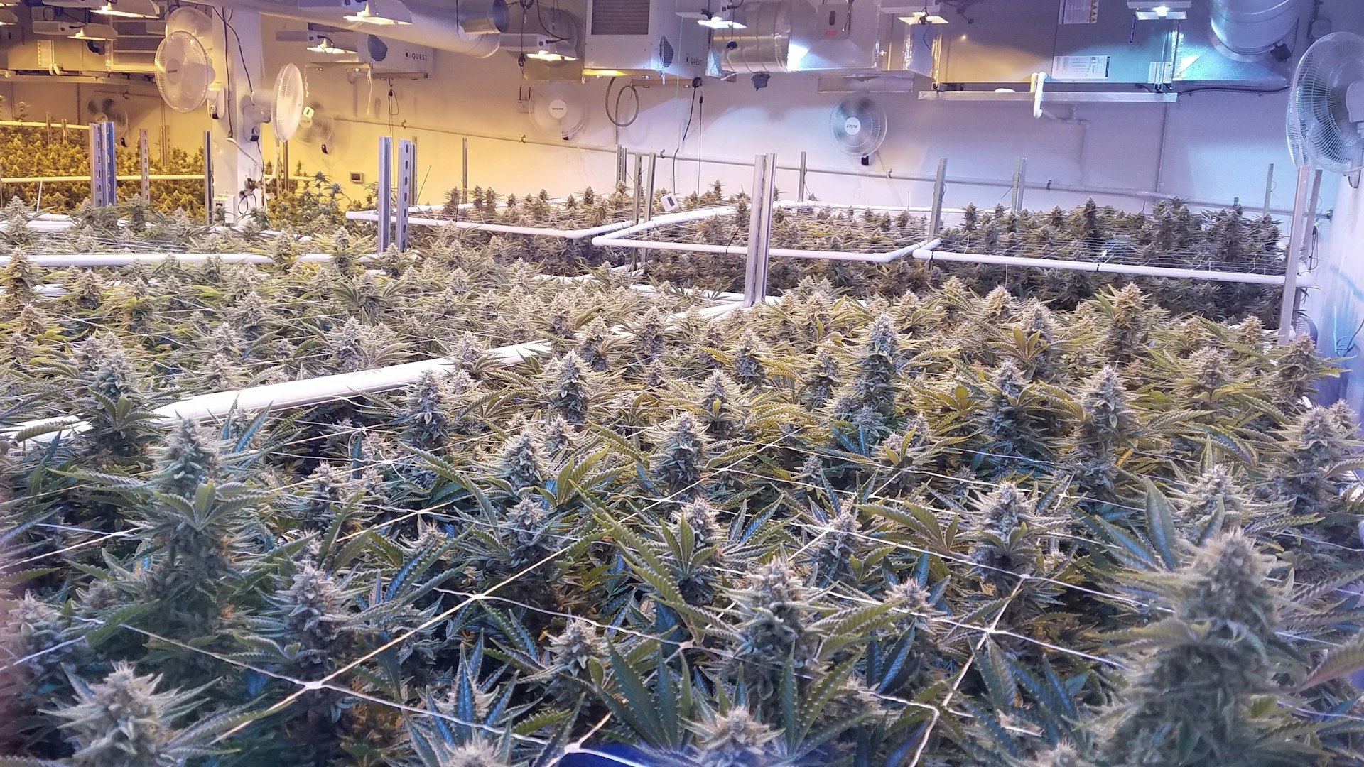 Emerald Valley Growers Cover Photo