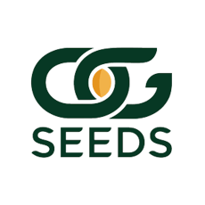 RL Early Girl OG Seeds