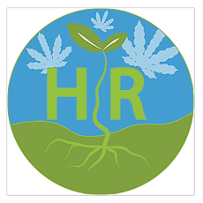 Mint Dark Chocolate | 100mg THC