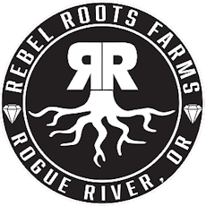 Rebel Roots - Tropicana Cookies (Sativa) THC RSO