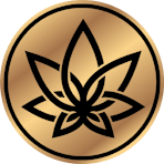 3CHI Logo