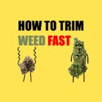Trim Weed Fast Logo
