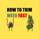 Trim Weed Fast Logo