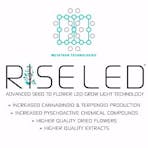 RISE LED Logo