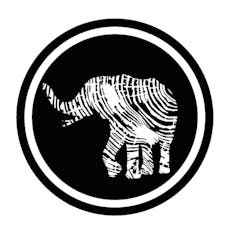 ~Matriarch Flower Lime Purple Mist