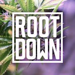 Root Down Logo