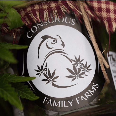 Kimbo Kush by Conscious Family Farms