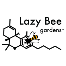 Apple Zauce by LAZY BEE GARDENS