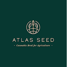 Atlas Seeds - Blue Dream - Full Term