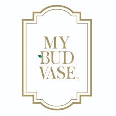 My Bud Vase / Coyote