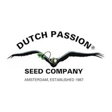 Blueberry Muffin (R) 1g RSO by Passion