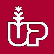 Dark Rainbow FLW #3054