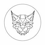 Linx Vapor Logo