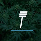 TokeCo Logo